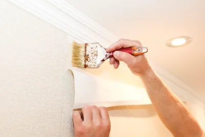 Pose de papier peint à Alba-la-Romaine — revêtements muraux et toiles de verre